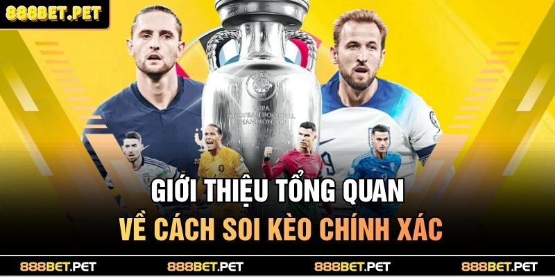 Giới thiệu tổng quan về cách soi kèo chính xác