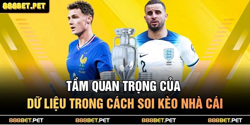 Tầm quan trọng của dữ liệu trong cách soi kèo nhà cái