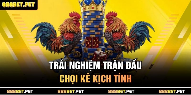 Trang chủ 30 Trải nghiệm trận đấu chọi kê kịch tính